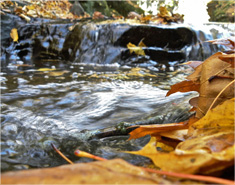 24小时自动发货的电话轰在线轰炸免费下载